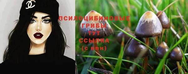 метадон Медвежьегорск