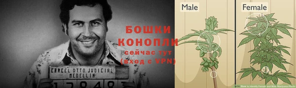 метадон Медвежьегорск