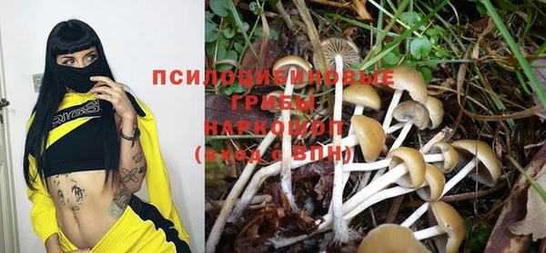 Альфа ПВП Мегион