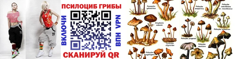 MEGA зеркало  darknet телеграм  Псилоцибиновые грибы мицелий  Нытва 