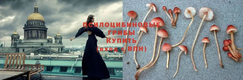 наркота  МЕГА ссылка  Галлюциногенные грибы Magic Shrooms  Нытва 